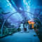 1539260092 dubai 2.jpg?w=60&h=60&dpr=1